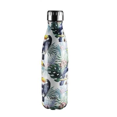 Avanti  Fluid Twin Wall Vacuum Bottle 500ml - Trop Toucan