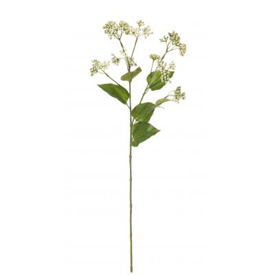 Rogue Eupatorium Spray Green 15x15x63cm