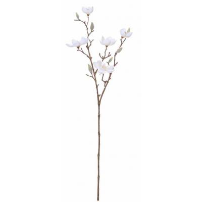Rogue Magnolia Spray 26x26x66cm | White