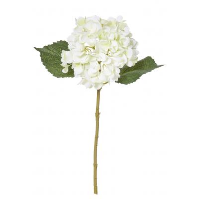 Rogue Hydrangea Stem White 28x16x45cm