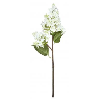 Rogue Lilac Pick White 12x9x39cm