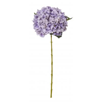 Rogue Hydrangea Stem Purple 20x20x65cm