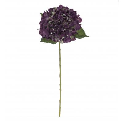 Rogue Hydrangea Stem Green/Purple 20x20x65cm