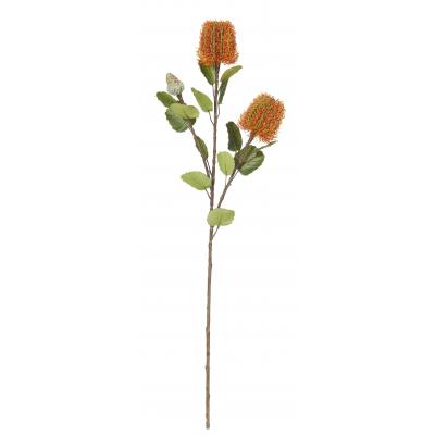 Rogue Banksia Spray Orange 73cm