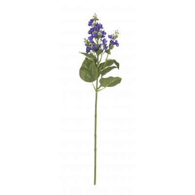 Rogue Lilac Stem Dark Blue 16x12x54cm