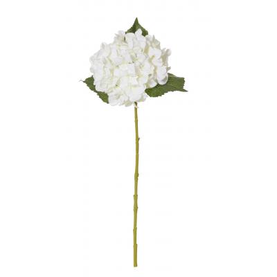 Rogue Hydrangea Stem White 23x21x61cm