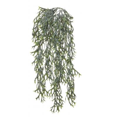 Rogue Elk Fern Hanging Bush Green 86cm