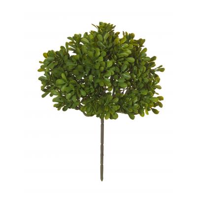 Rogue Boxwood Bush Green | 26cm