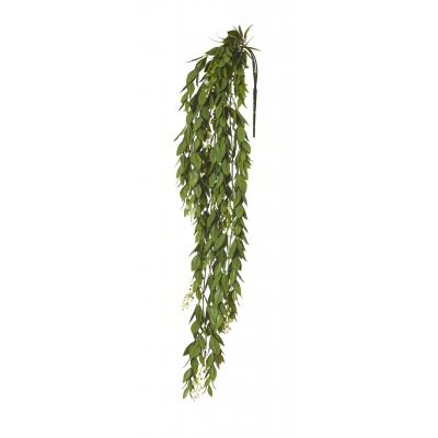 Rogue Flowering Trailing Hanging Bush Green 18x10x66cm