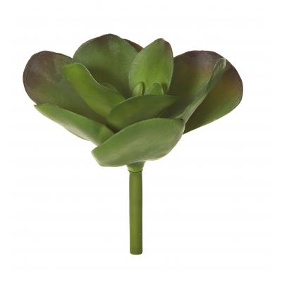 Rogue Flapjack Succulent Green 21x21x27cm