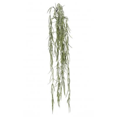 Rogue Hoya Green | 20x7x53cm