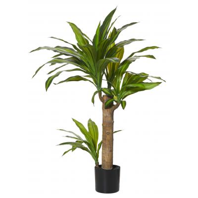 Rogue Happy Plant-Garden Pot Green/Black | 60x50x80cm