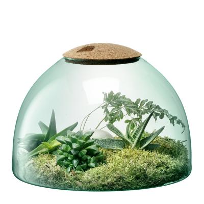 Lsa Canopy Closed Garden H22cm 