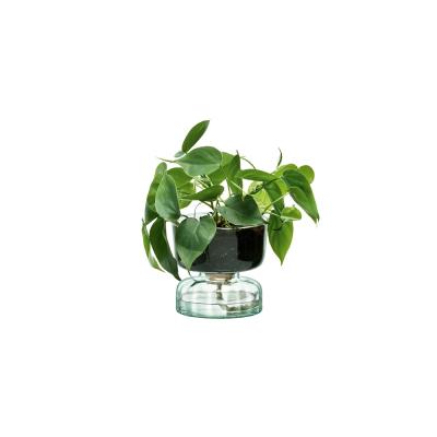 LSA Canopy Self Watering Planter | Clear