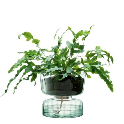 LSA Canopy Self Watering Planter | Clear