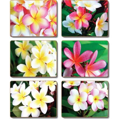 Cinnamon Frangipani Garden Coasters