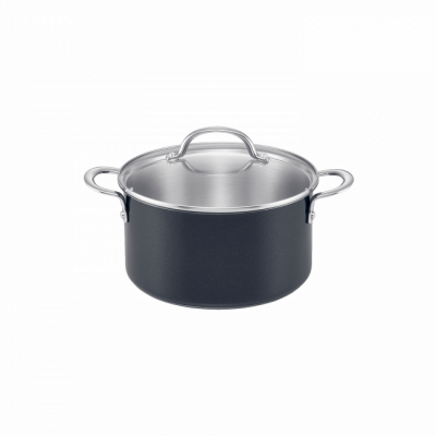 Raco Luminescence Stainless Steel Covered Stockpot | 24cm/5.7L