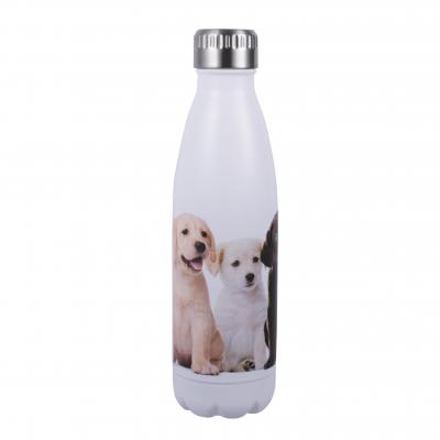 Avanti Fluid Bottle 500ml | Labrador Pups