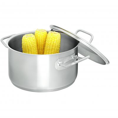 Scanpan Commercial Dutch Oven with Lid 24cm/5.5L