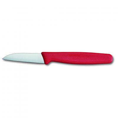 Victorinox Paring Knife Straight Blade Nylon 6cm | Red