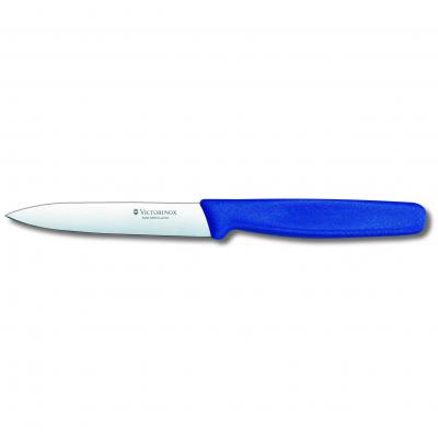 Victorinox Paring Knife Pointed Blade Nylon 10cm | Blue