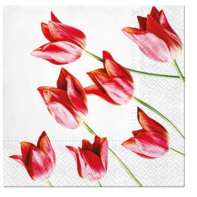 Paw Lunch Napkins 33cm Pack of 20 | 3 Ply | Red Tulips