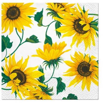 Paw Lunch Napkins 33cm Pack of 20 | 3 Ply | Last Scent Summer