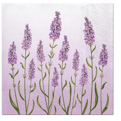Paw Lunch Napkins 33cm Pack of 20 | 3 Ply | Lavender Field