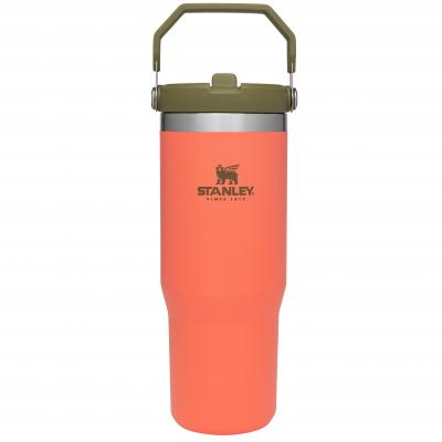Stanley IceFlow Flip Straw Tumbler .89L | Guava