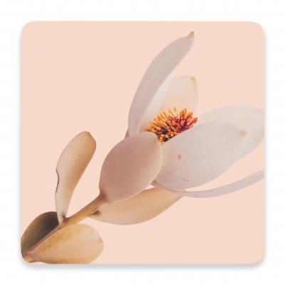 Splosh Flourish Pink Flower Ceramic Coaster