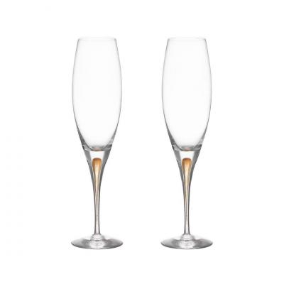 Orrefors Intermezzo Gold Champagne Glass 260ml | 2 Piece
