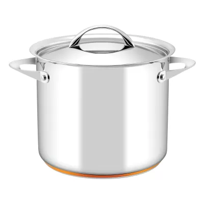 Essteele Per Vita Covered Stockpot | 24cm/9L