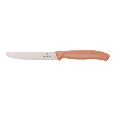Victorinox Autumn Mix and Match Classic Steak/Tomato Knife 11cm | Rose Reverie