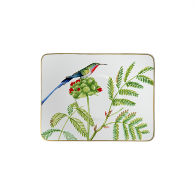 Villeroy and Boch Amazonia Coffee Cup Saucer