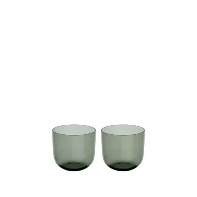 Villeroy and Boch Like Sage Water Glass 200ml | 2 Piece