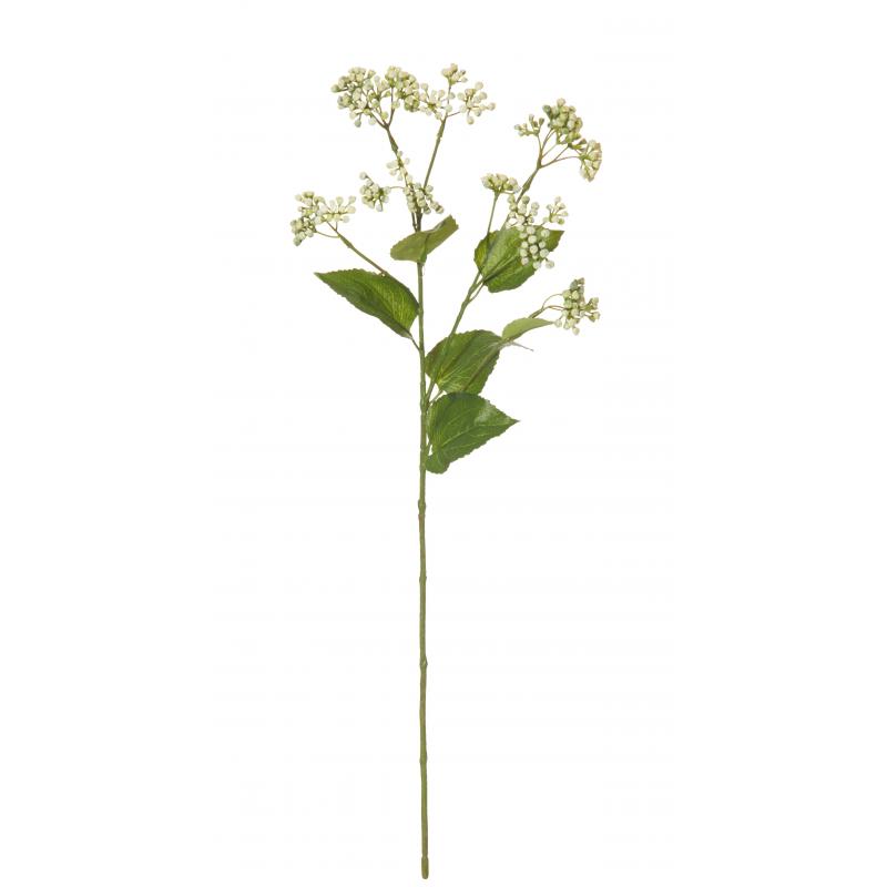 Rogue Eupatorium Spray Green 15x15x63cm