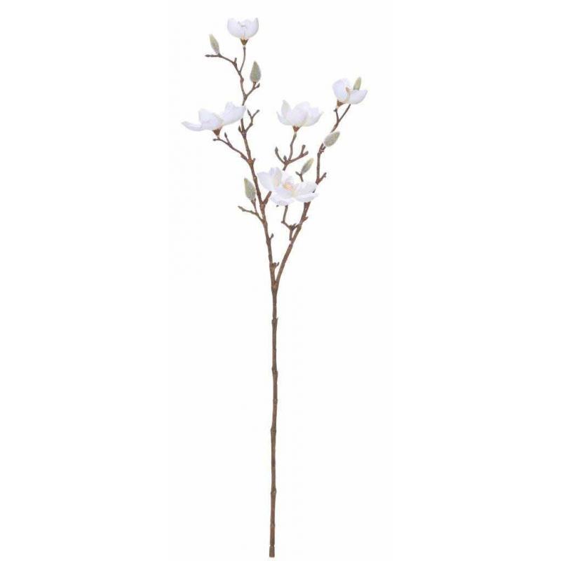 Rogue Magnolia Spray 26x26x66cm | White
