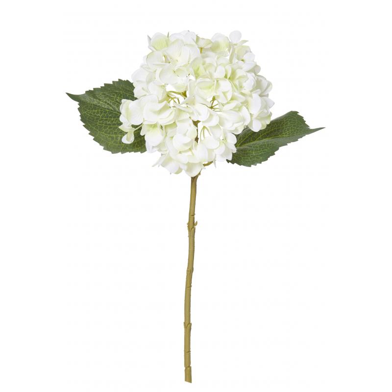 Rogue Hydrangea Stem White 28x16x45cm