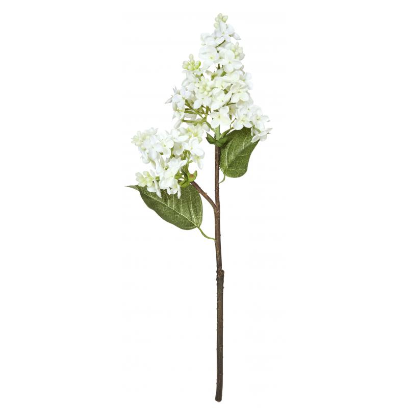 Rogue Lilac Pick White 12x9x39cm