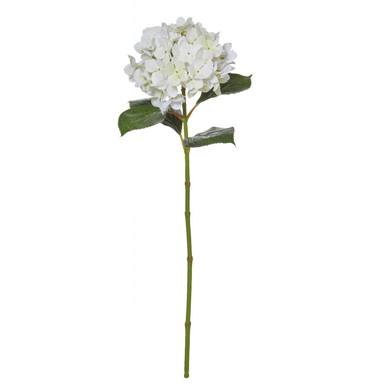 Rogue Hydrangea Stem 24x24x67cm | White 