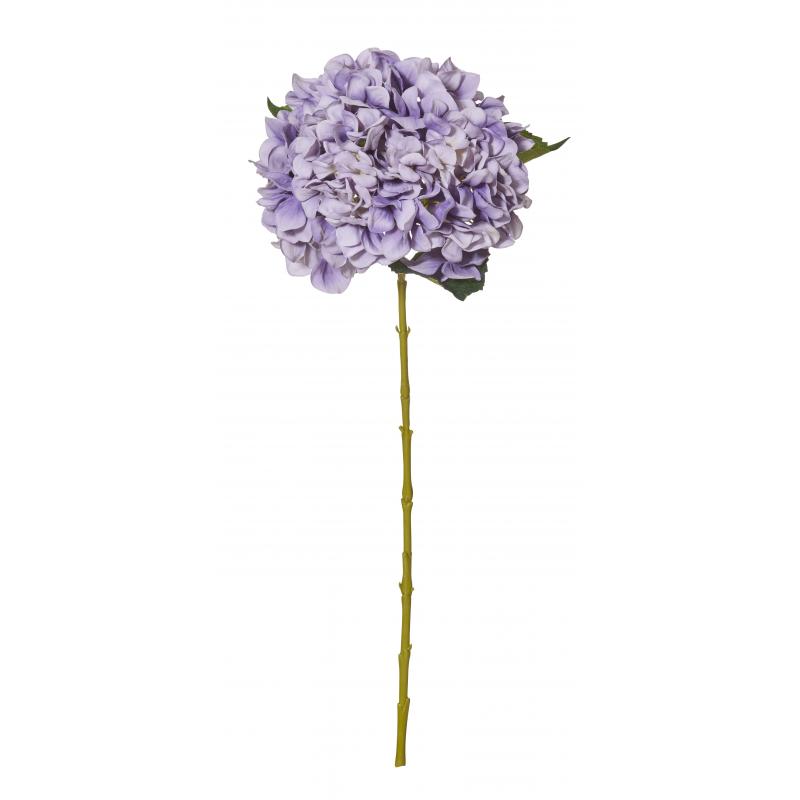 Rogue Hydrangea Stem Purple 20x20x65cm