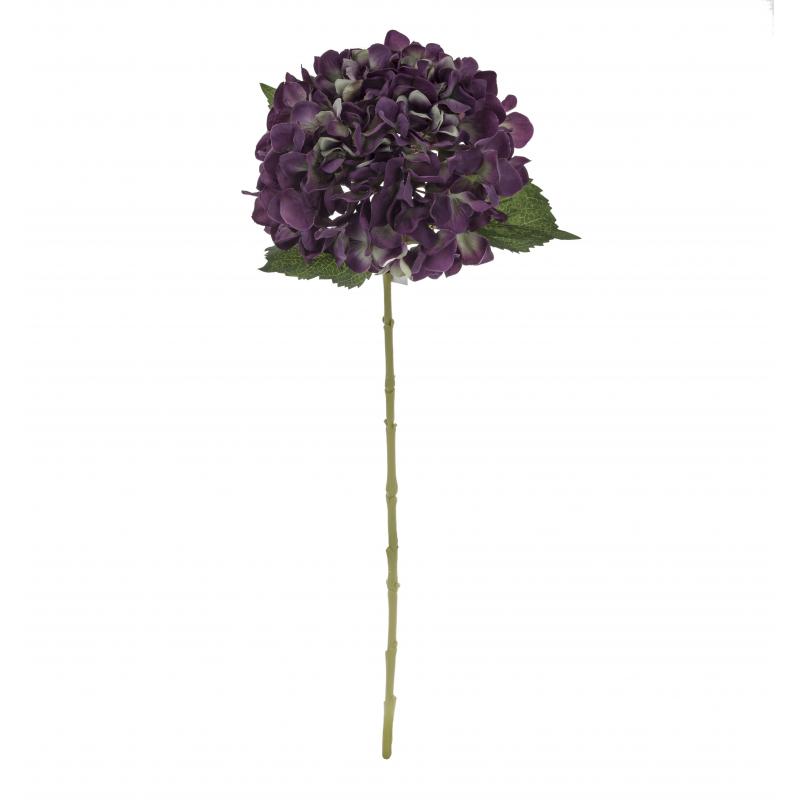Rogue Hydrangea Stem Green/Purple 20x20x65cm