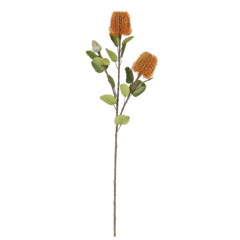 Rogue Banksia Spray Orange 73cm