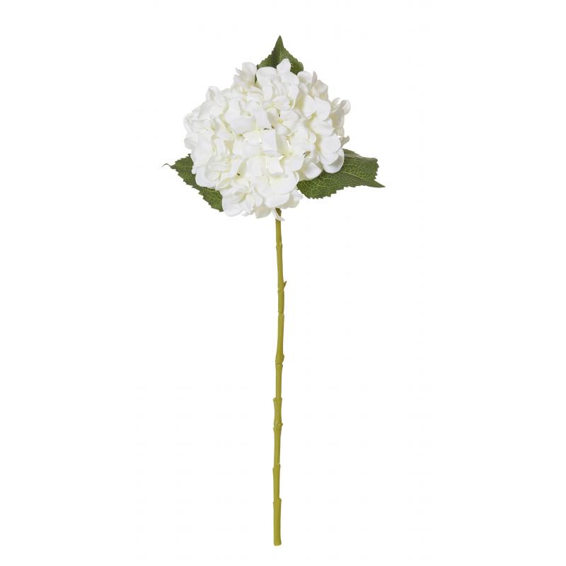 Rogue Hydrangea Stem White 23x21x61cm