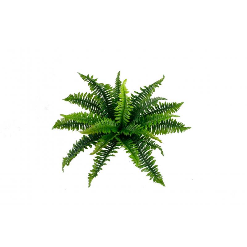 Rogue Boston Fern Green 59cm
