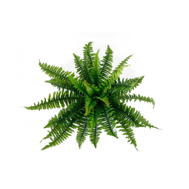 Rogue Boston Fern Green 76cm