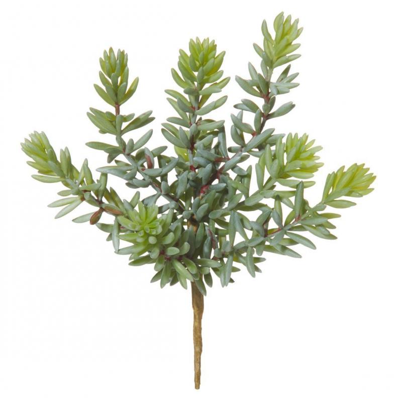 Rogue Foxtail Stem Green 12x10x20cm