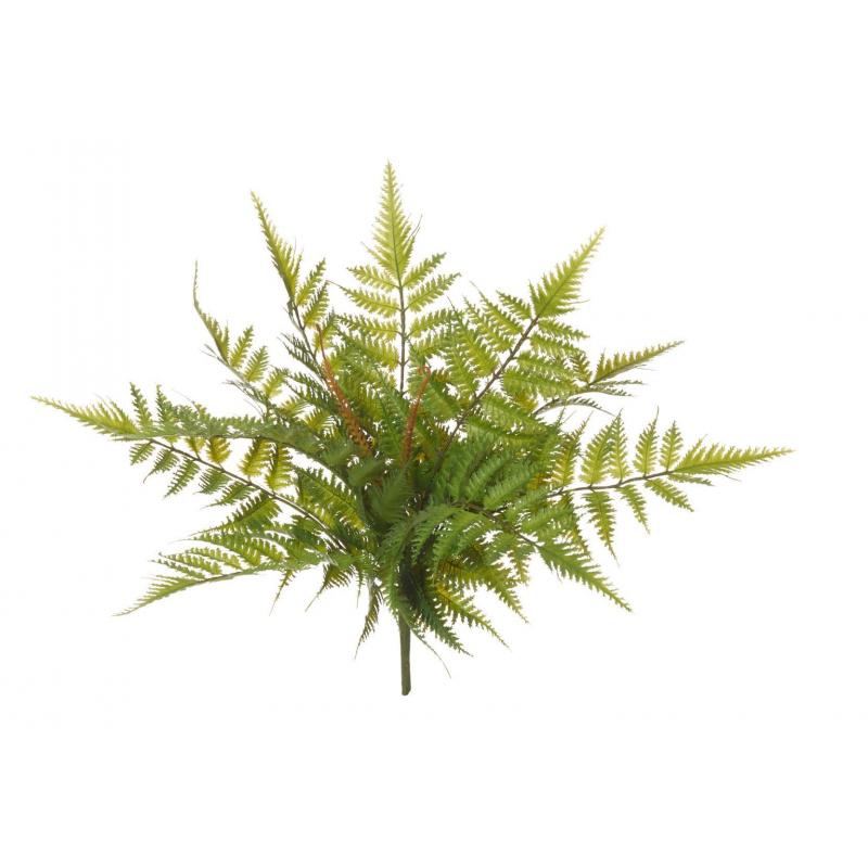 Rogue Bracken Fern  Green 40cm