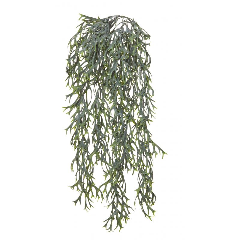 Rogue Elk Fern Hanging Bush Green 86cm