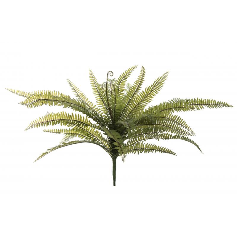 Rogue Boston Fern Green 65cm